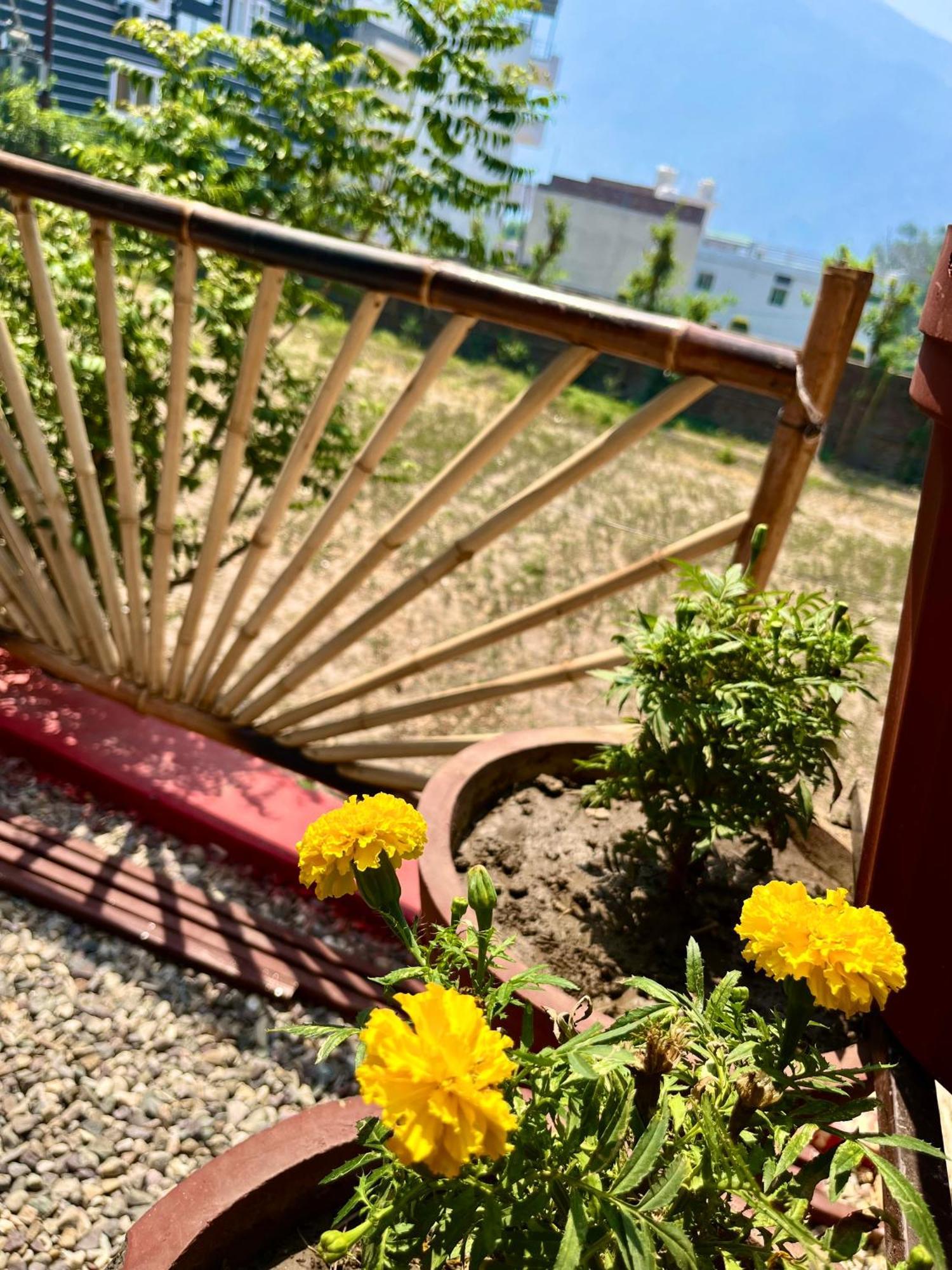 Bamboo Garden Cottages And Cafe Rishikesh Exterior photo